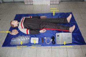 Profesionalni manikin za stručno usavršavanje odraslih